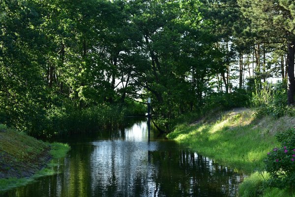 Alimentation et Santé Maternelle : Dévoilez les Secrets Essentiels pour le Bien-être des Futures Mamans