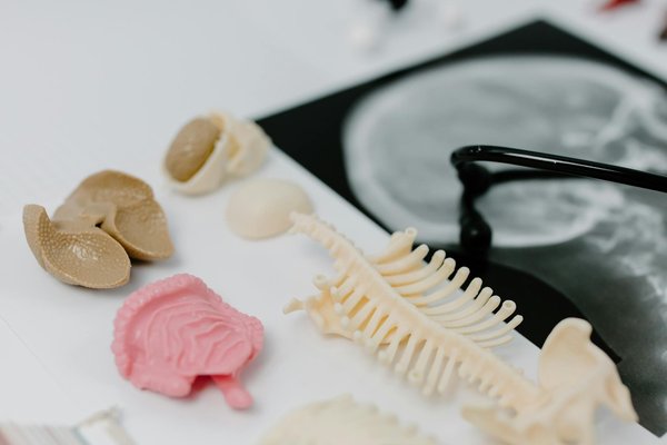 Top 10 des applications mobiles pour soulager la douleur pendant la grossesse